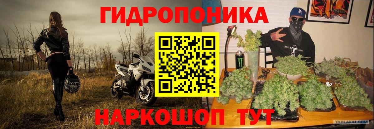 Каннабис White Widow Добрянка